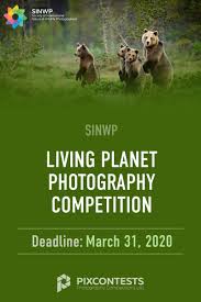 Pin On Photo Contests 2020