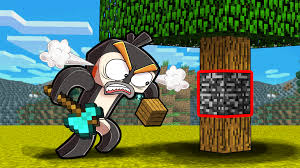 Ever want to make a custom command in minecraft bedrock edition 1.16 + well i made a mod just for you download and edit the addon to run 5 custom commands you like to have in your server or realm or just a survival world easy to follow video and example of the addon in action thanks and enjoy. Mods Archive Voidlauncher Home Page