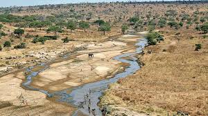 Providing quality fashion at affordable prices, created for the australian lifestyle. Gujarat To Follow Madhya Pradesh Model To Revive Dying Rivers
