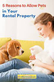 5 Reasons To Allow Pets In Your Rental Property In 2021 Rental Pets Being A Landlord