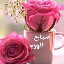 اجمل صور صباح الخير اجمل رسائل لاحلى صباح نايس Good Morning Flowers Beautiful Morning Messages Good Morning Cards