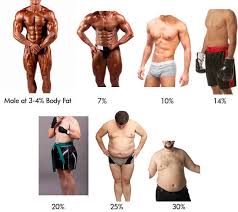 check your body fat percentage online body fat percentage