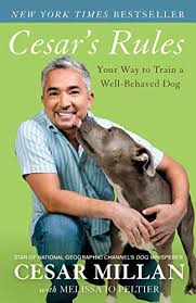 Top picks related reviews newsletter. The Best Dog Training Books In 2021 Animal Corner