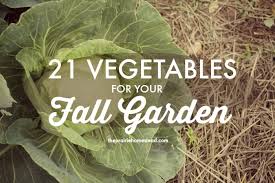 Check spelling or type a new query. 21 Vegetables For The Fall Garden