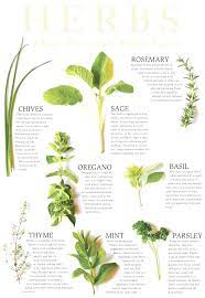 Take Care Herbs Herbs For Hair Healing Herbs