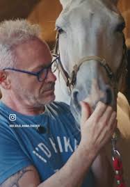 Horse Farting in Horse Face