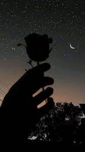 See more ideas about couple goals, cute couples, cute couples goals. Single Goals Wallpapers Facebook
