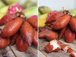 English holly (ilex aquifolium) is a beautiful and versatile evergreen hedge. Snake Fruit Delicious Taste Terrifying Nightmare