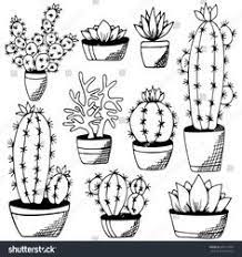 Si ves germinar una semilla de una planta tan grande como lo puede llegar a ser un árbol o una palmera, cuando germina una semilla de. 31 Ideas De Dibujo De Cactus Cactus Dibujo Cactus Disenos De Unas