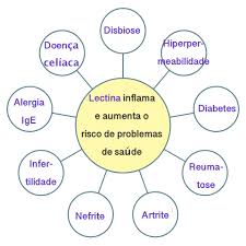 Keith weller, agricultural research service, usda. Efeitos Das Lectinas Na Saude Andreia Torres