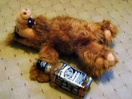 Alf Drank Too Much Alf Funny Pictures Jack Daniels