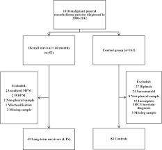 Check spelling or type a new query. Clinical Features In Patients With Malignant Pleural Mesothelioma With 5 Year Survival And Evaluation Of Original Diagnoses Clinical Lung Cancer