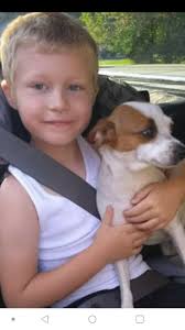 Hi everyone, my sweet girl went out last night and never came home. Her  name is Dakota and she is fixed and microchipped, please contact me if you  see her! Thank you.