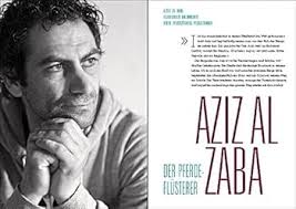 Fremdenzimmer: 16 junge Männer aus Syrien und ihre Geschichten : Warning,  Wilhelm Christoph, Kapitza, Enno: Amazon.it: Libri