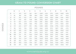 44 precise weight coversion chart