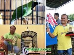 Download lagu cucak ijo jamtrok 1.59mb dan streaming kumpulan lagu cucak ijo jamtrok 1.59mb mp3 terbaru di metrolagu dan nikmati, video klip hasil diatas adalah hasil pencarian dari anda cucak ijo jamtrok mp3 dan menurut kami yang paling cocok adalah cucak ijo jamtrok. Burung Cucak Hijau Om Kicau
