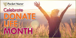 Aaron Vicari (@VicariaPN)