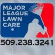 Previous set of related ideas. Major League Lawncare Home Facebook