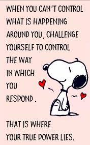 65 Inspirational Attitude Quotes And Positive Sayings 26 Funny Inspirational Quotes Positive Quotes Funny Quotes