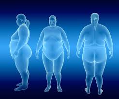 OBESITÀ: UN NUOVO STUDIO DIMOSTRA CHE IL SOVRAPPESO FA INVECCHIARE PRIMA IL  CERVELLO - Dietologo Nutrizionista Padova