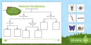 Minibeast Classification Game Minibeast Game Activity Sheet