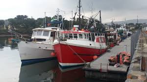 Image result for Red Marina 1994 UMM