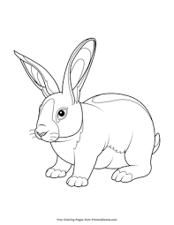 Baby looney tunes lovely bugs bunny coloring page in bugs bunny. Baby Rabbit Coloring Page Free Printable Pdf From Primarygames