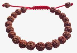 Rudraksha Mala Png Images Free Transparent Rudraksha Mala Download Kindpng Flower mala png clipart is a handpicked free hd png images. rudraksha mala png images free