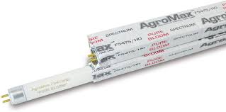 Maybe you would like to learn more about one of these? Buy 4 Pack Agromax 4 Foot 45 75 Pure Bloom T5 Fluorescent Grow Light Bulbs 4 F54t5ho Bulbs Online In Turkey B01m0xvjqy