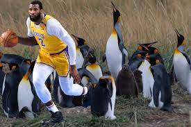 The penguins community on reddit. March Of The Big Penguin An Investigation Of Andre Drummond S Nickname Silver Screen And Roll