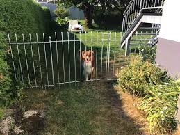 Wir Sind Sehr Zufrieden Mit Dem Neuen Hundezaun Der Aufbau War Sehr Einfach Innerhalb Von 2 Stunden Hatten Wir Die Zaunelemente Und Ture Hundezaun Hunde Zaun