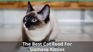 We understand the predicament of most newbie cat owners in selecting the most appropriate food for their pet. Reviews Of The Best Food Brands For Siamese Cats And Kittens In 2020