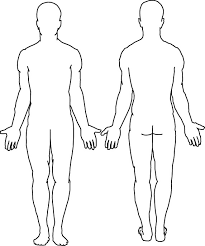 Body Diagram Form Diagram Schematic