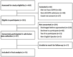 Image result for COPD Exacerbation Decision Tool