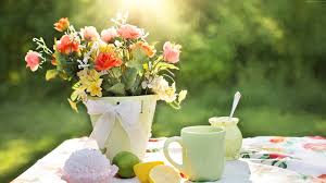 Check spelling or type a new query. 108788 Summer Hd Wallpaper 4k Summer Flowers Sun Spring Flowers Mocah Hd Wallpapers