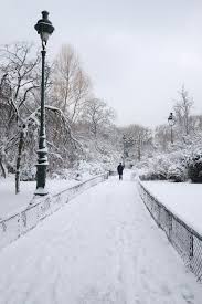 Tout est blanc ce matin. Paris Sous La Neige Deedee