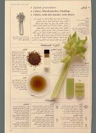 الكامل في الأعشاب والنباتات الطبية موسوعة ملونة رائعة free download borrow and streaming internet archive in 2021 health facts food health fitness nutrition nutrition