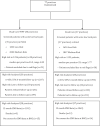 Elderly physical therapy combines a combination of approaches including stretching, walking the medical community is finding that physical therapy can be used to help patients with a variety of as you can see, physical therapy can help seniors in about every area of health care imaginable. Stratified Care To Prevent Chronic Low Back Pain In High Risk Patients The Target Trial A Multi Site Pragmatic Cluster Randomized Trial Eclinicalmedicine