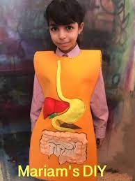 وسيلة الجهاز الهضمي toddler activities stem resources activities