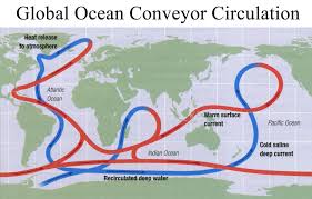 Thermohaline Circulation Belt Conveyor Driven By Cooling Of Salty Evaporation Surface Water Climate Warming Next Generation Science Standards Earth Science