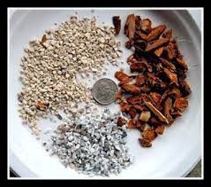 An ideal soil composition should be pebbly and gritty. Garden Design Ideas Als Gritty Mix Potting Soil Potting Soil Succulent Soil Soil