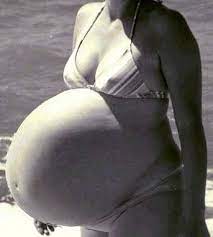 Bellyitch Bellyitch Bump Day Quadruplets In A Bikini Belly Big Pregnant Pregnant Belly Huge Pregnant Belly