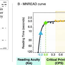 Printed Mnread Chart A Front And Back Of The Mnread