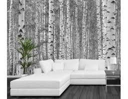 Black And White Birch Tree Wallpaper Birch Tree Forest Black And White Black And White Wallpaper Birch Forest Forest Wallpaper