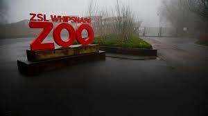 Set in 600 acres of the beautiful chiltern hills, whipsnade zoo is one of the two zoo managed by zoological society of. Xl5w5zxov2cbnm