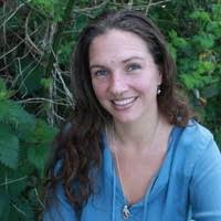 600+ "Willard" profiles