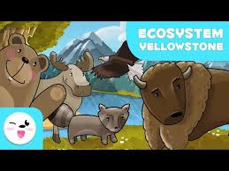 See more ideas about yellowstone, kids activity books, yellowstone vacation. Yellowstone National Park English Esl Video Lesson