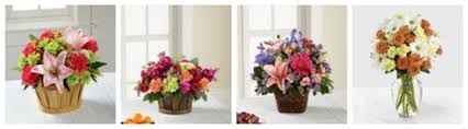 Android veya ios mobil cihazınız için maps.me uygulamasını indirebilir ve çiçekçi kategorisindeki forest of flowers veya çevresindeki yerler için yol tarifleri alabilirsiniz lavender florist. The 11 Best Options For Flower Delivery In Oakville 2021