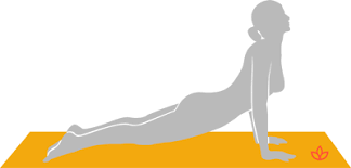 Upward Facing Dog Pose Urdhva Mukha Svanasana Yogapedia