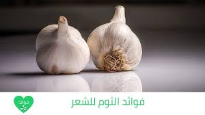فوائد الثوم للشعر الثوم يعطيك أفضل حماية وجمال وكثافة لشعرك Vegetables Garlic Food